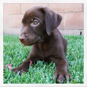 Meet your Posher, Selena